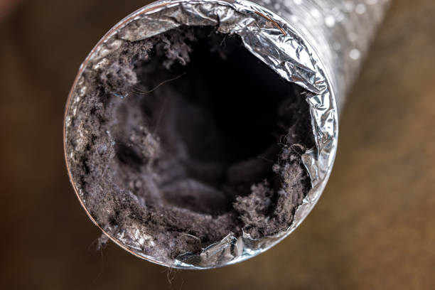 Best Local Air Duct Cleaning Services  in Saco, ME