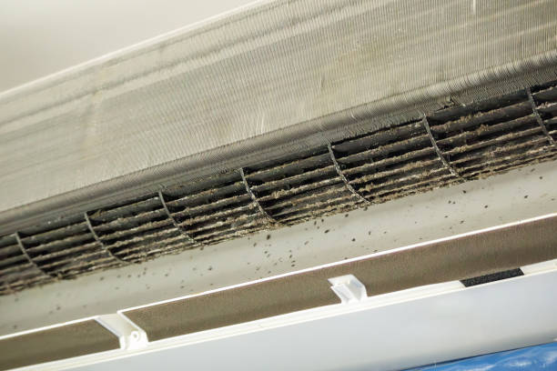 Best Air Duct Mold Removal  in Saco, ME